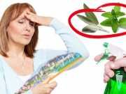 Stop The Heat Fast With This Hot Flash Spray