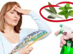 Stop The Heat Fast With This Hot Flash Spray