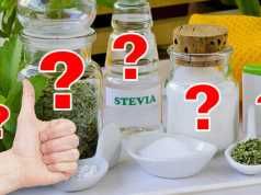 How To Avoid Harmful Additives In Your Stevia