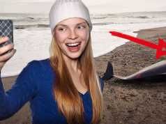 How To Avoid Killing Animals With Your Selfies