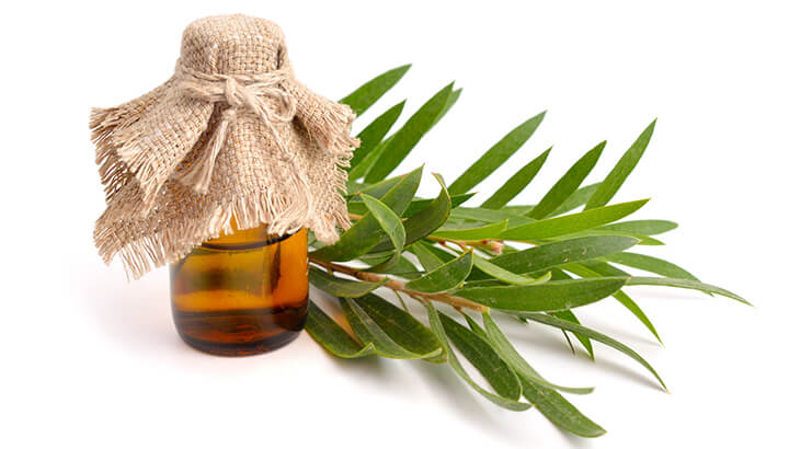 Tea tree oil may be more effective than a golden facial