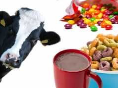 The Shocking Truth Behind What Cows Really Eat