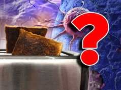 Can Burnt Toast Really Give You Cancer?