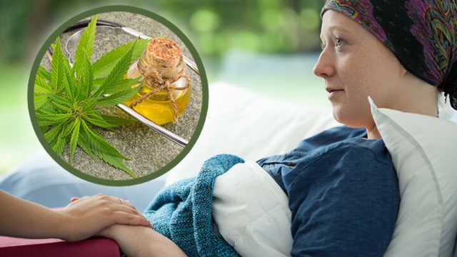 Cannabis all-natural cancer treatment
