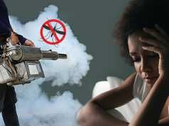 This Is How Insecticides May Be Ruining Your Sleep