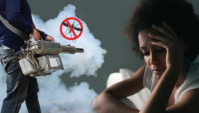 This Is How Insecticides May Be Ruining Your Sleep