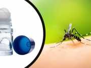 Soothe Your Itchy Insect Bites With This Roller Bottle Remedy