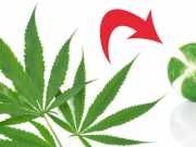 How To Skip The High But Get All The Other Benefits Of Pot