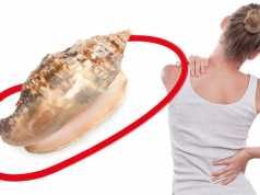 Sea Snail Venom And 7 Other Bizarre Natural Painkillers