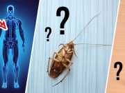 5 Weird Things Doctors Have Found In People’s Bodies