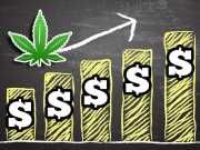 Do Experts Think You Should Invest In The Marijuana Industry?
