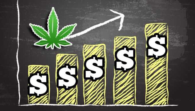 Do Experts Think You Should Invest In The Marijuana Industry?