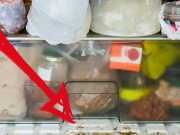Your Fridge Could Be The Dirtiest Place In Your Kitchen — Here’s Why