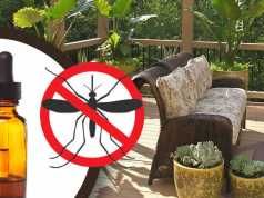 19 Ways To Keep Mosquitoes Away From Your Patio