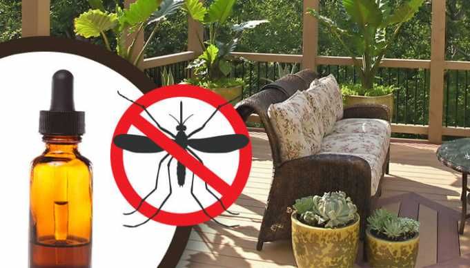 19 Ways To Keep Mosquitoes Away From Your Patio