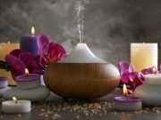 16 Best Oils To Diffuse And How To Do It Right