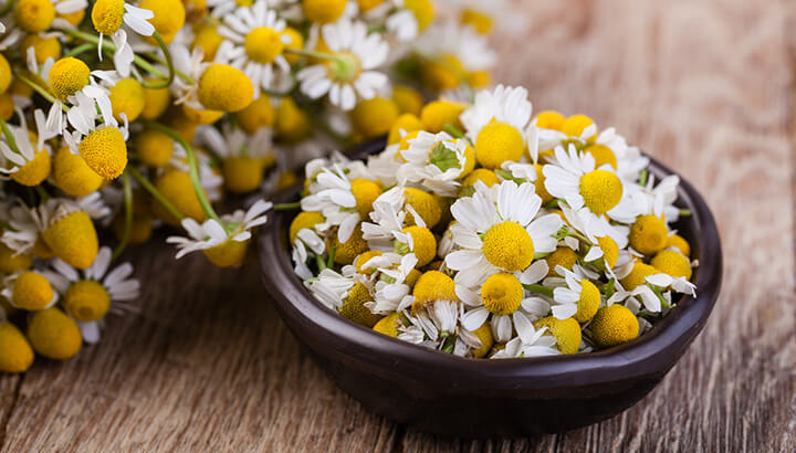 Medicinal herbs like chamomile are handy for sleep and relaxation.