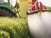 How This New Food Label May Keep You From Being Poisoned