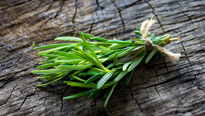 Rosemary will naturally repel mosquitoes.