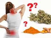 Should You Mix Turmeric And Weed For Pain Management?