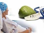 Can The Graviola Fruit Treat Cancer?