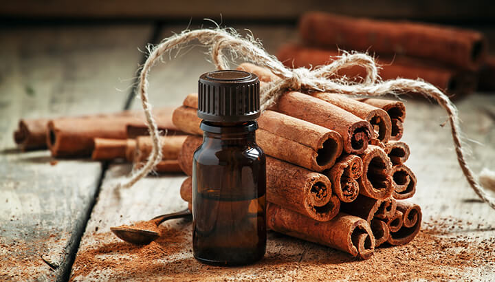 Cinnamon oil is strong enough to keep mosquitoes away.