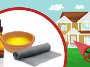 How Do You Keep Mosquitoes Away From Your House?