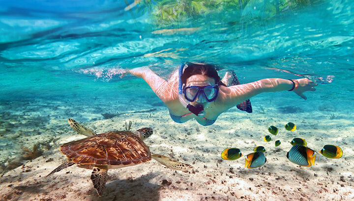 Instead of going to the zoo, try snorkeling or visit a beach.
