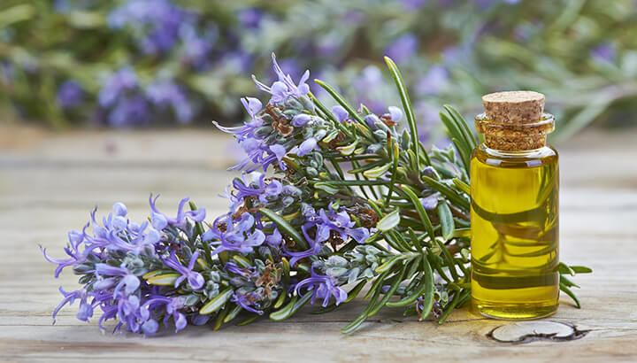 Plant rosemary in your garden to keep mosquitoes away.