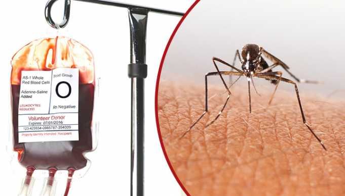 What Your Blood Type Says About You