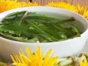 Dandelion tea