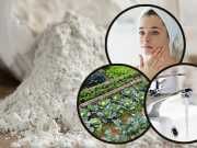 10 Ways To Use Diatomaceous Earth (And The Benefits)