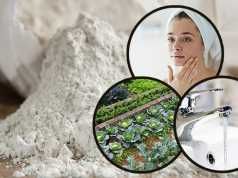 10 Ways To Use Diatomaceous Earth (And The Benefits)