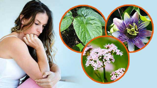 Plant remedies for anxiety