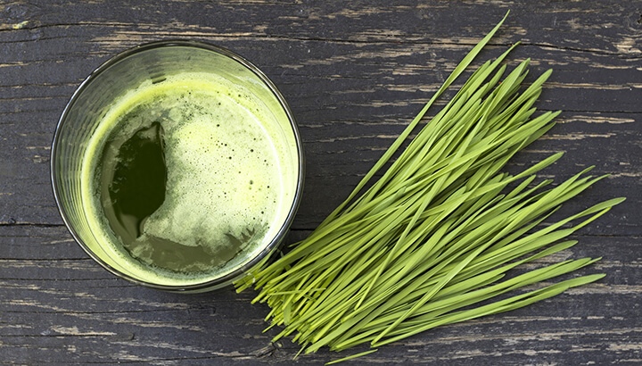 Wheatgrass contains over 90 minerals to improve overall health.