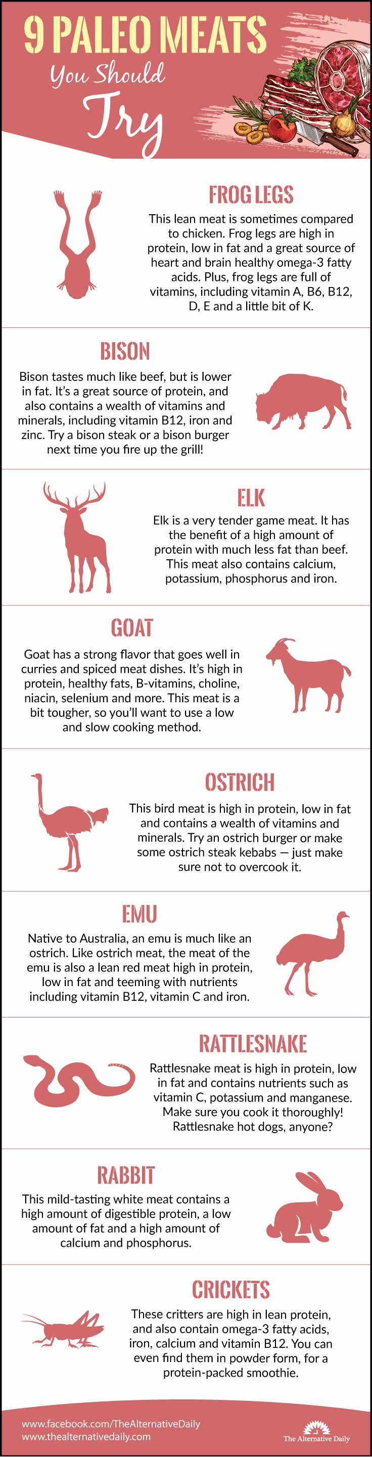 paleo-meats-to-try