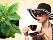 5 Benefits Of Cannabis Tea