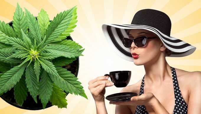 5 Benefits Of Cannabis Tea