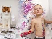 18 Ways Cats Are Like Preschoolers
