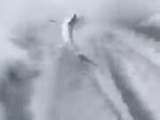 Video Captures Fishermen Savagely Dragging Shark