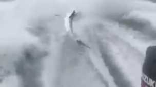 Video Captures Fishermen Savagely Dragging Shark