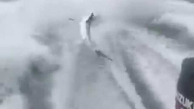 Fishermen drag shark behind boat