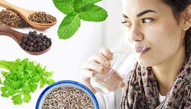 How To Make Jal Jeera Water For Better Digestion