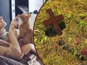 2 Things The Loss Of My Cat Taught Me About Death