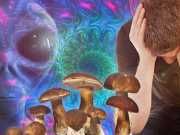 Can Psychedelics Help You Contact Aliens?