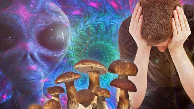 Aliens and psychadelics