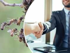 Amazing Things Bees Can Teach Us About Health, Happiness And Life