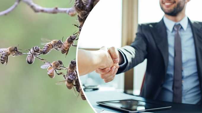 Amazing Things Bees Can Teach Us About Health, Happiness And Life