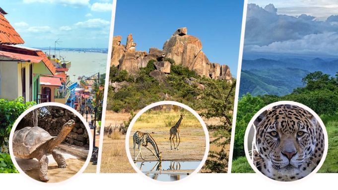 This Must-See Wildlife Destination May Be Gone By 2030