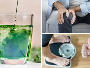 9 Healing Benefits Of ‘Green Blood’ (Fight Candida And More)
